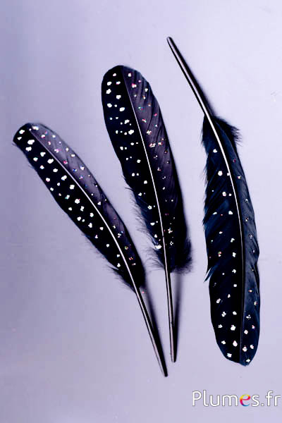 Cygne Soie avec paillettes  - 25-30 cm - noir